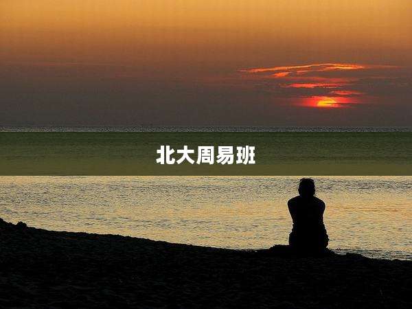 北大周易班