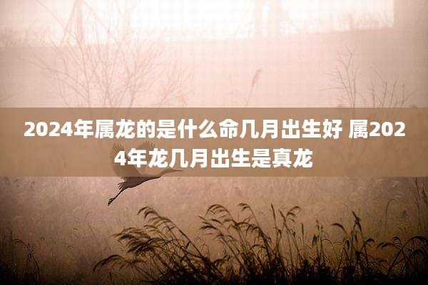 2024年属龙的是什么命几月出生好 属2024年龙几月出生是真龙