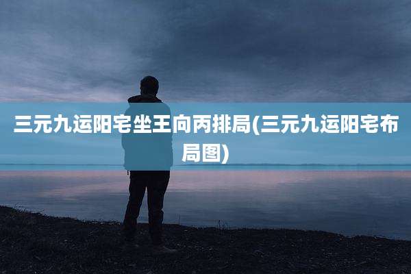 三元九运阳宅坐王向丙排局(三元九运阳宅布局图)