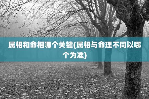 属相和命相哪个关键(属相与命理不同以哪个为准)