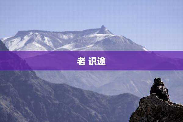 老 识途