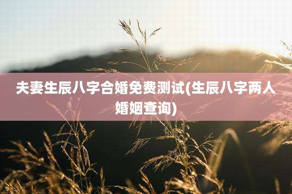 夫妻生辰八字合婚免费测试(生辰八字两人婚姻查询)