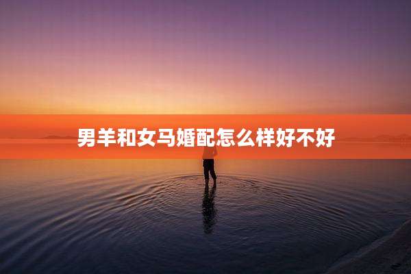男羊和女马婚配怎么样好不好