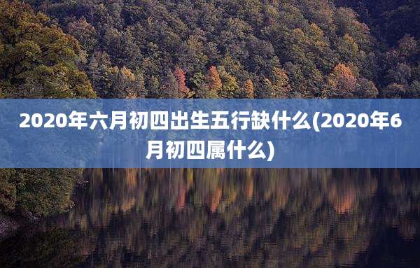 2020年六月初四出生五行缺什么(2020年6月初四属什么)