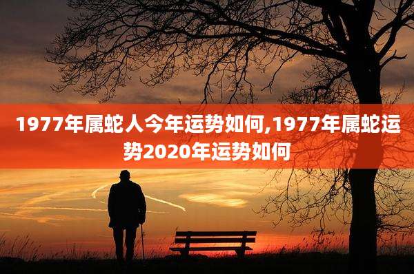 1977年属蛇人今年运势如何,1977年属蛇运势2020年运势如何