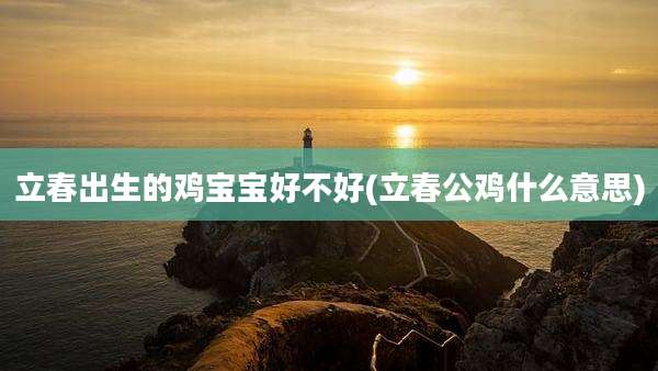 立春出生的鸡宝宝好不好(立春公鸡什么意思)