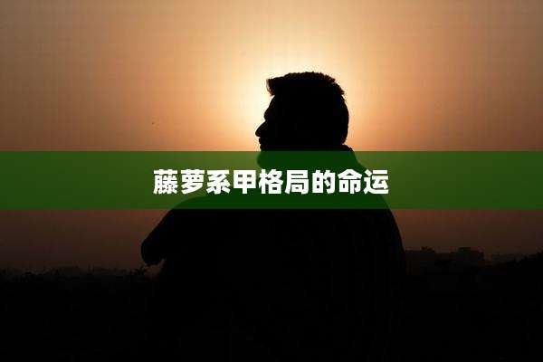 藤萝系甲格局的命运