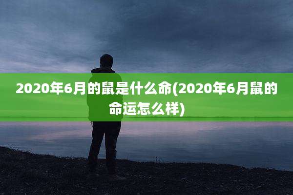 2020年6月的鼠是什么命(2020年6月鼠的命运怎么样)