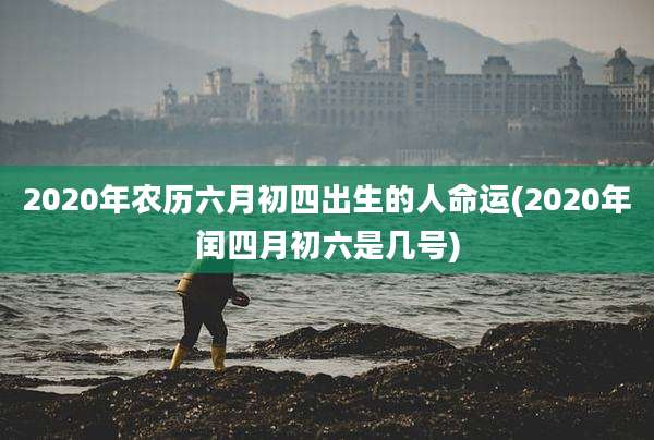 2020年农历六月初四出生的人命运(2020年闰四月初六是几号)