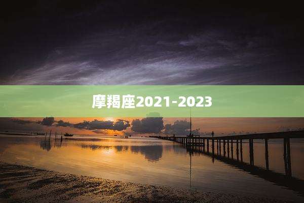 摩羯座2021-2023