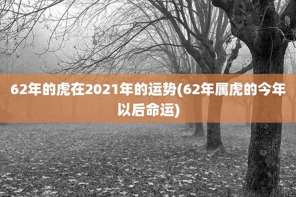 62年的虎在2021年的运势(62年属虎的今年以后命运)