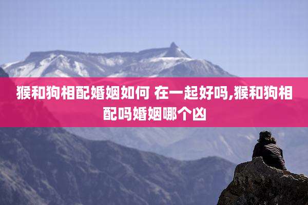 猴和狗相配婚姻如何 在一起好吗,猴和狗相配吗婚姻哪个凶