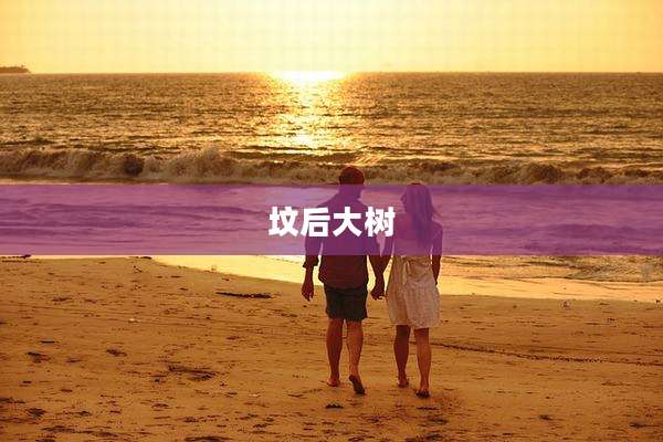 坟后大树