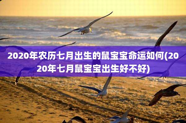 2020年农历七月出生的鼠宝宝命运如何(2020年七月鼠宝宝出生好不好)