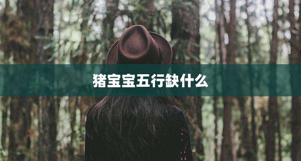 猪宝宝五行缺什么