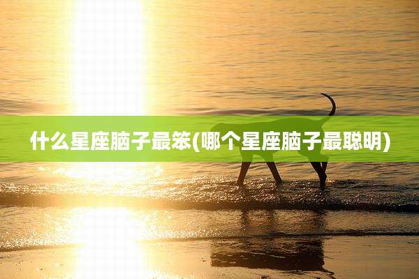 什么星座脑子最笨(哪个星座脑子最聪明)