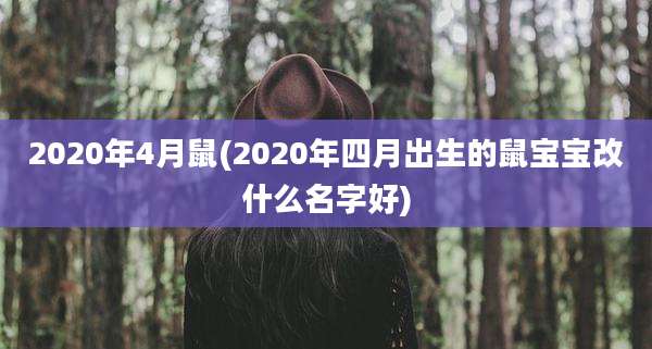 2020年4月鼠(2020年四月出生的鼠宝宝改什么名字好)