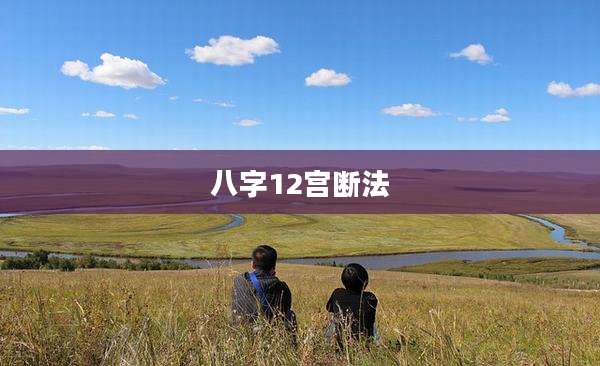 八字12宫断法