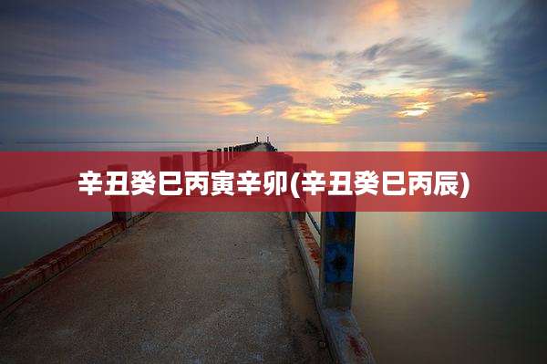 辛丑癸巳丙寅辛卯(辛丑癸巳丙辰)