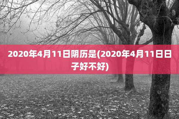 2020年4月11日阴历是(2020年4月11日日子好不好)