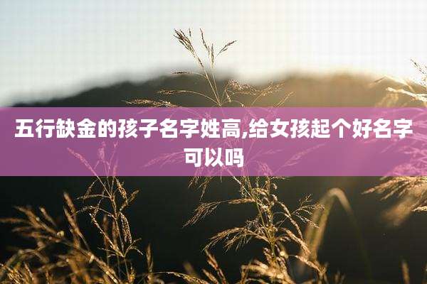 五行缺金的孩子名字姓高,给女孩起个好名字可以吗