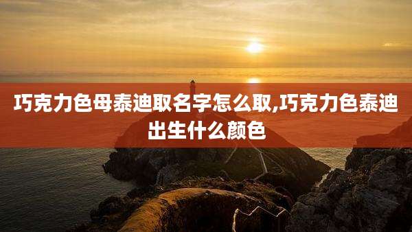 巧克力色母泰迪取名字怎么取,巧克力色泰迪出生什么颜色