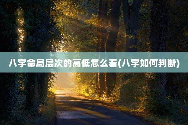 八字命局层次的高低怎么看(八字如何判断)