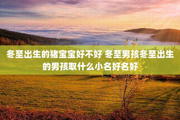冬至出生的猪宝宝好不好 冬至男孩冬至出生的男孩取什么小名好名好