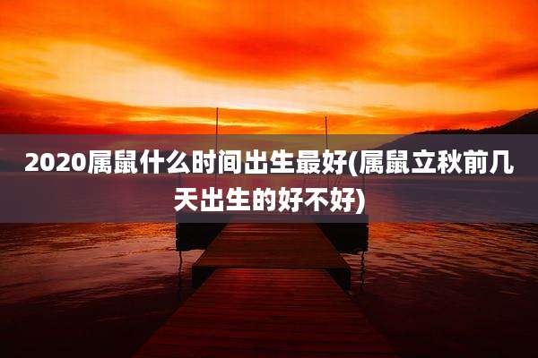 2020属鼠什么时间出生最好(属鼠立秋前几天出生的好不好)