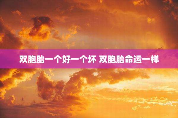 双胞胎一个好一个坏 双胞胎命运一样