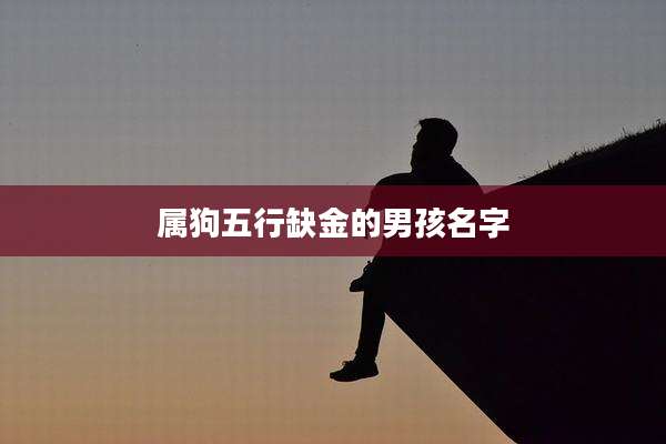 属狗五行缺金的男孩名字