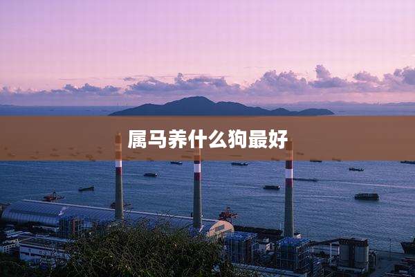 属马养什么狗最好