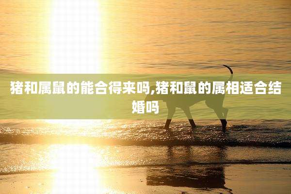 猪和属鼠的能合得来吗,猪和鼠的属相适合结婚吗
