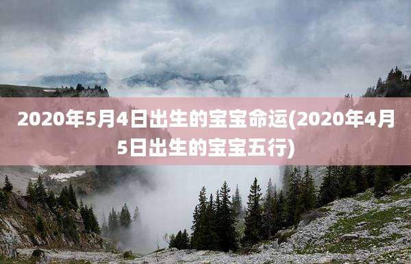 2020年5月4日出生的宝宝命运(2020年4月5日出生的宝宝五行)