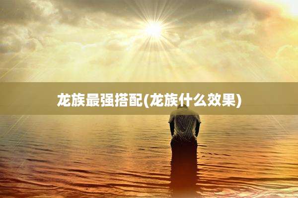龙族最强搭配(龙族什么效果)
