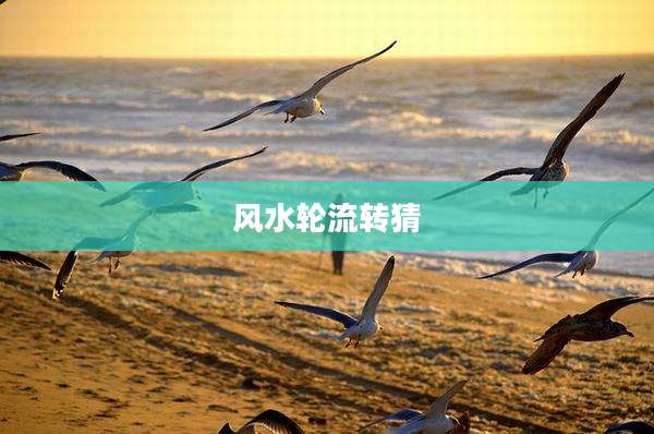 风水轮流转猜