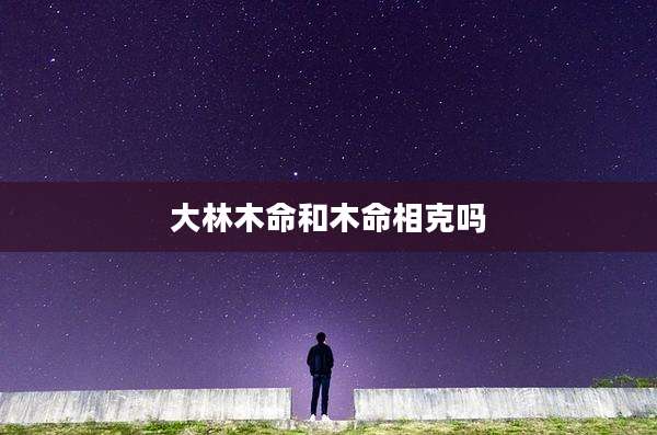 大林木命和木命相克吗