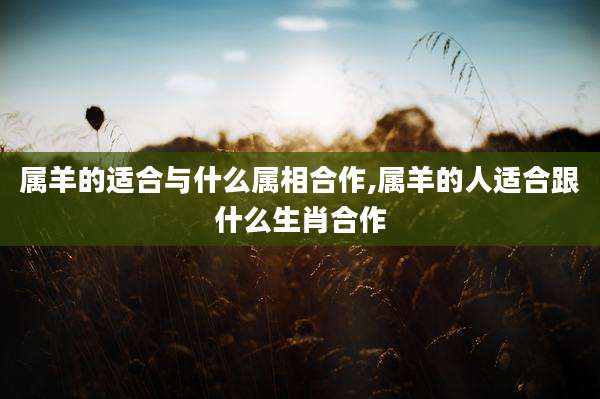 属羊的适合与什么属相合作,属羊的人适合跟什么生肖合作