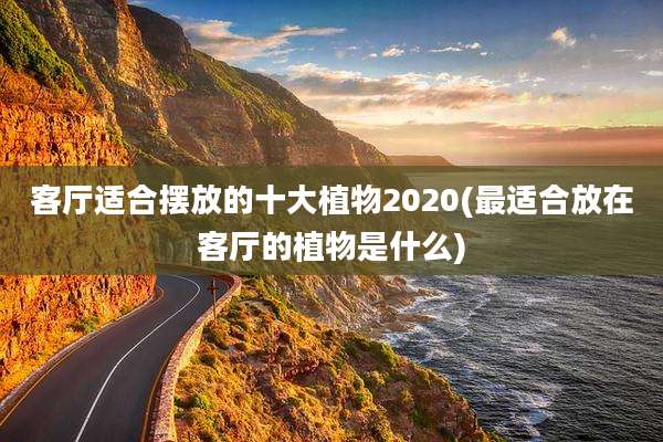 客厅适合摆放的十大植物2020(最适合放在客厅的植物是什么)