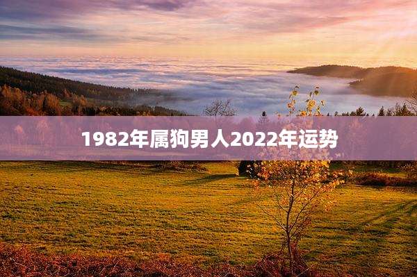 1982年属狗男人2022年运势
