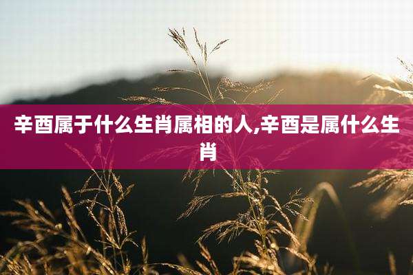辛酉属于什么生肖属相的人,辛酉是属什么生肖