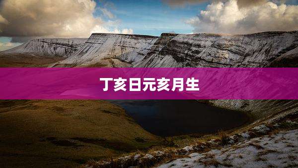 丁亥日元亥月生