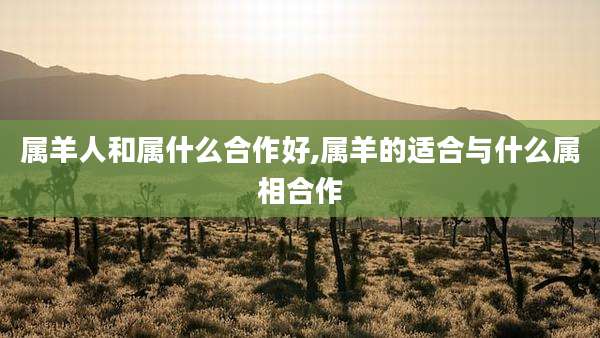 属羊人和属什么合作好,属羊的适合与什么属相合作