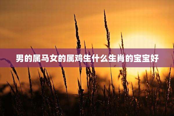 男的属马女的属鸡生什么生肖的宝宝好