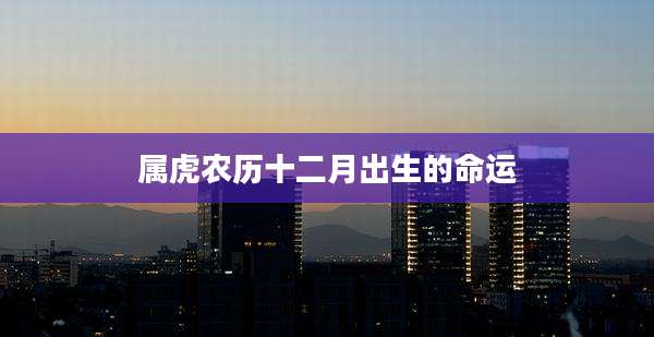 属虎农历十二月出生的命运
