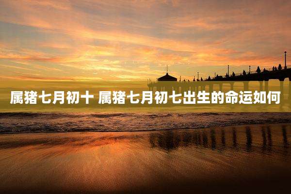 属猪七月初十 属猪七月初七出生的命运如何