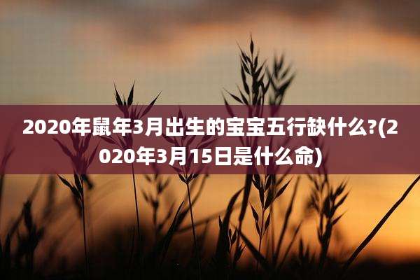 2020年鼠年3月出生的宝宝五行缺什么?(2020年3月15日是什么命)