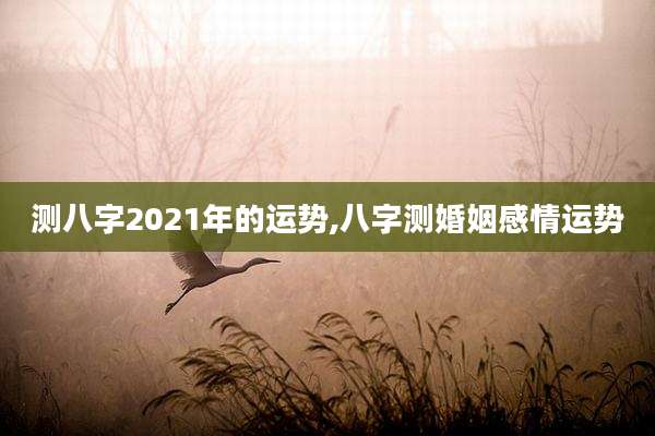 测八字2021年的运势,八字测婚姻感情运势