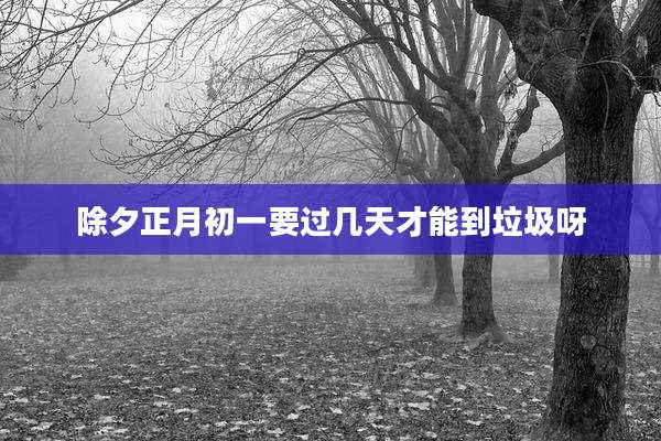 除夕正月初一要过几天才能到垃圾呀