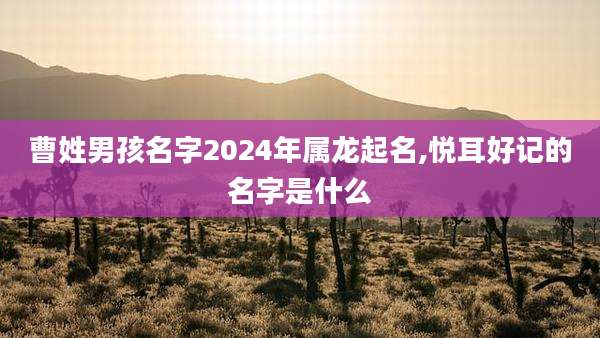 曹姓男孩名字2024年属龙起名,悦耳好记的名字是什么